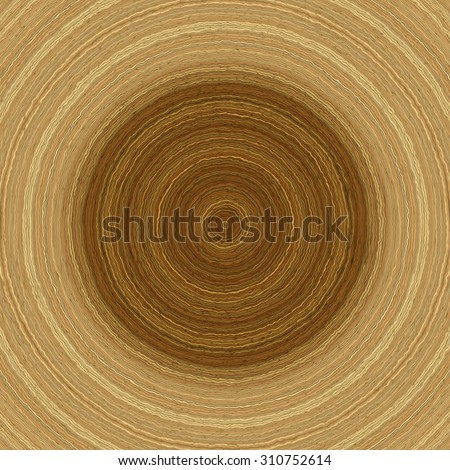 Annual rings in cut tree