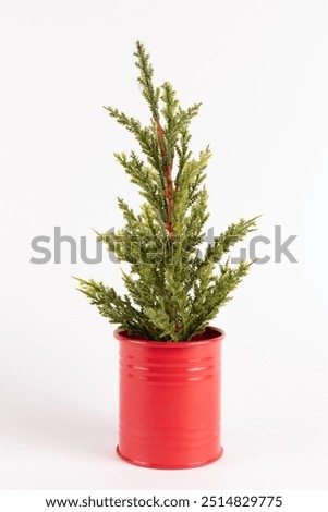 Similar – Image, Stock Photo Christmas tree in pot, watercolour on paper