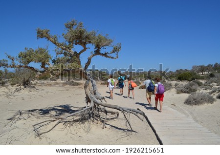 Group of tourists walking on Chrissi island, Greece