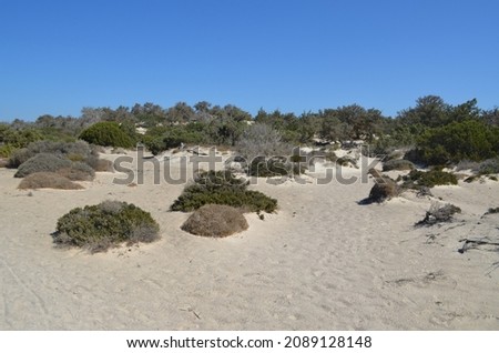 Small sand dunes and vegetation of Chrissi island, Greece