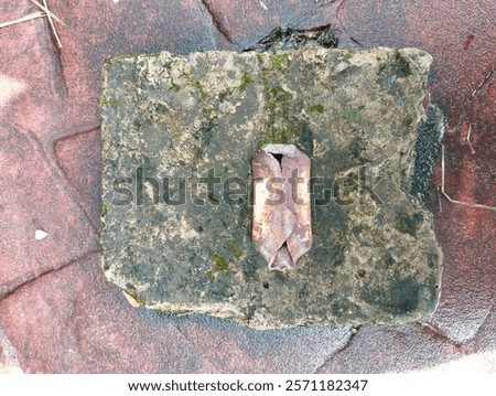 Similar – Image, Stock Photo Broken billboard on an ugly wall