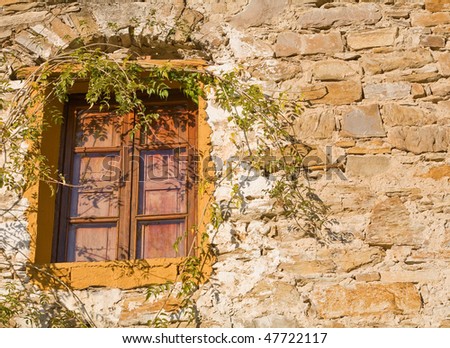 a typical italian window pane in old building made of stone, with growing wisteria