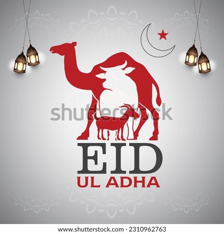  Eid ul Adha 2023 Muslim man is facing Adha Mubarak arabica Happy Life