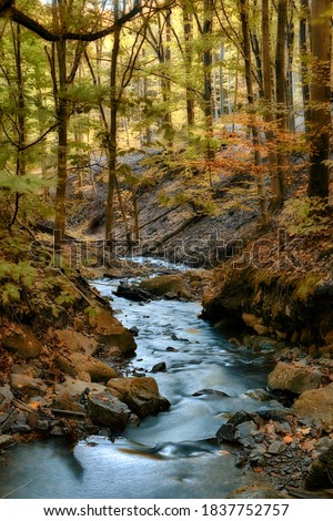 Similar – Image, Stock Photo Waterfall flowing into river in nature