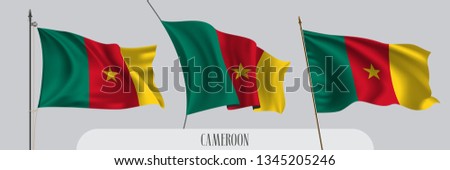 Set of Cameroon waving flag on isolated background vector illustration. 3 green red Cameroonian wavy realistic flag as a patriotic symbol 