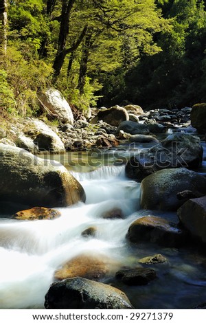 River with boulders in rain forest surrounded by trees and moss. New Zealand