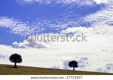 Lone trees on Hilltop 2