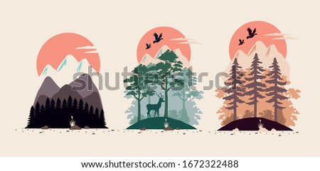 bundle of beautiful landscapes set scenes vector illustration design