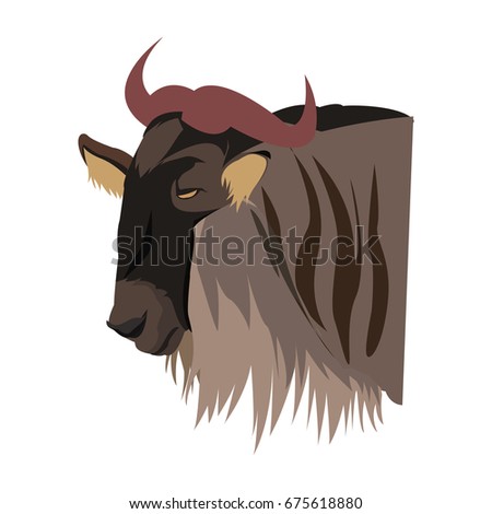 wildebeest head african wildlife animal