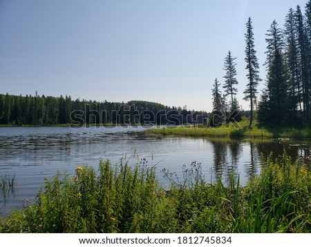 Similar – Image, Stock Photo The lake in the summer