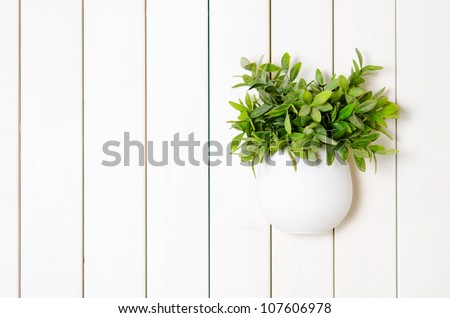 flower in a pot on a wooden wall