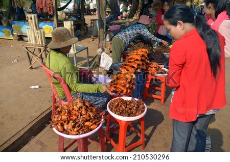 AMPONG THUM CAMBODIA MARCH 26: People sale fried bugs, spiders, crickets and little birds on march 26 2013 in Kampong Thum Cambodia. Cambodia\'s bug specialty is big, juicy, fried SPIDERS.