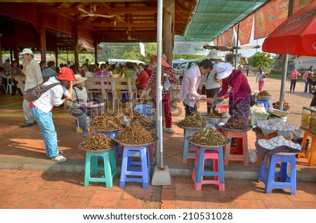 KAMPONG THUM CAMBODIA MARCH 26: People sale fried bugs, spiders, crickets and little birds on march 26 2013 in Kampong Thum Cambodia. Cambodia\'s bug specialty is big, juicy, fried SPIDERS.