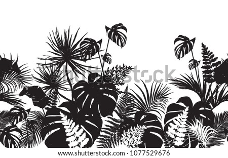 Rainforest Clipart Black And White | Free download on ClipArtMag