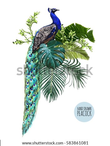 Charming Oil painting nice birds Peacock with flowers in spring season canvas