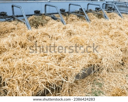 Similar – Image, Stock Photo Blocking period door