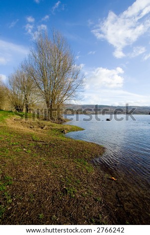 trees and a blue river under the blue sky and lovely landscape