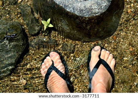 Woman\'s feet with a pair of flip flops cooling in water