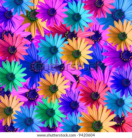 multi colored daisy flowers pattern background