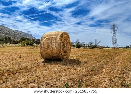 Image, Stock Photo Straw bale rolled up on a field waiting for removal