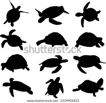 Turtle Clipart Black And White | Free download on ClipArtMag