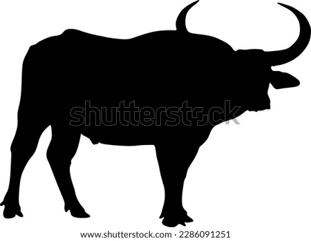 buffalo silhouette, background, black, vector, illustration