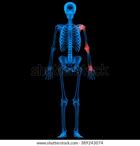 Human Skeleton Bone Joint Pains Stock Photo 389243074 : Shutterstock