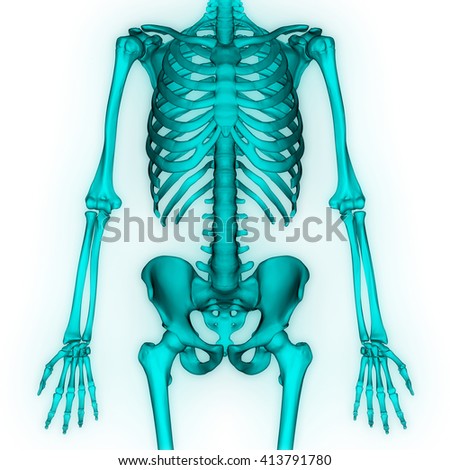 Human Body Bone Joint Pains. 3d Stock Photo 413791780 : Shutterstock