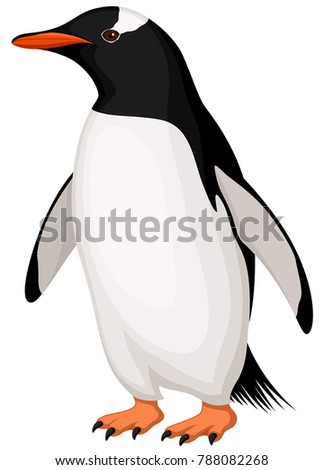 Vector illustration of a Gentoo Penguin.