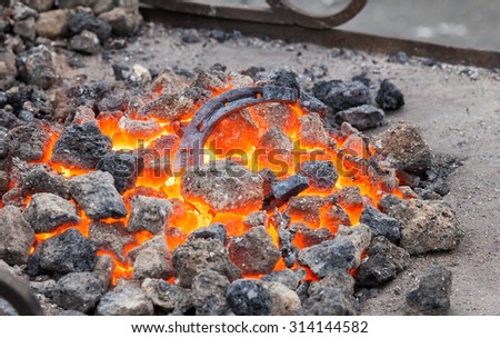 Blacksmithing, metal horseshoe is heated in the forge on coals