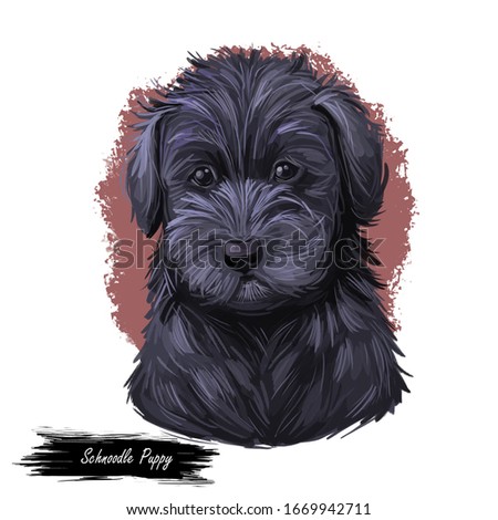 Seewhite Schnoodle Tshirt Design Pet My Schnoodle T Shirt