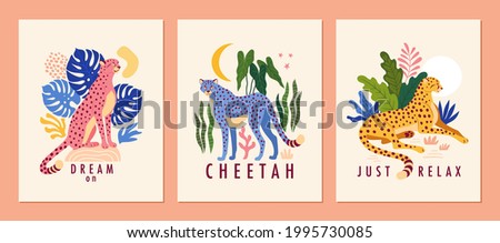 Cheetah posters collection. Vector illustration of three graphic templates with a cheetah surrounded by tropical leaves in trendy abstract style