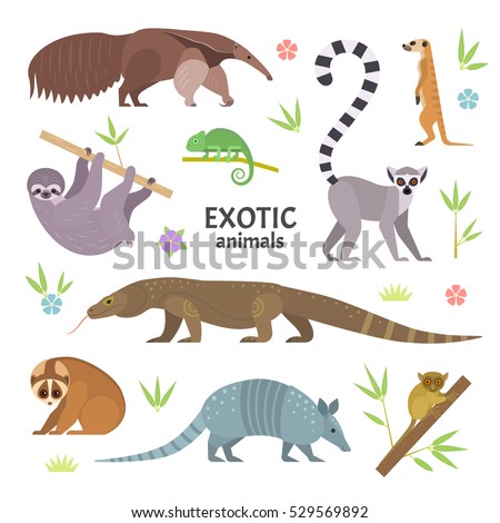 Exotic animals. Vector illustration with flat animals, including anteater, Ring-tailed lemur, lemur loris, sloth, Komodo monitor lizard, armadillo, meerkat, tarsier, isolated on white.
