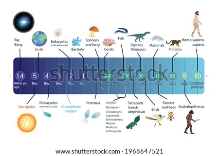 Evolution of Life Timeline Scale. Geologic time scale. Educational infographic. Biology and history scientific diagram, scheme vector illustration poster Imagine de stoc © 