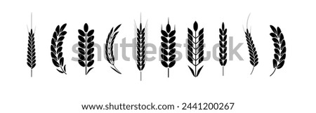 Wheat and rye logo ears. Barley rice grains and elements for beer or organic agricultural food. Vector