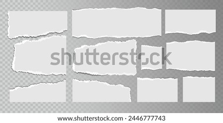 Realistic ripped white paper sheets isolated on transparent background. Torn blank pages with uneven texture. Vector