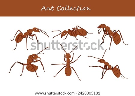 Ants set. Ants collection. Ants vector illustration.