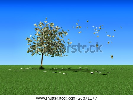 The standing alone tree from which wind breaks money