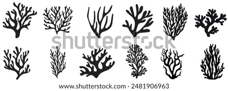 Seaweed silhouettes, coral black icon. Abstract organic shape, underwater plant, matisse element, cute sea doodle. Cartoon marine floral set isolated on white background.