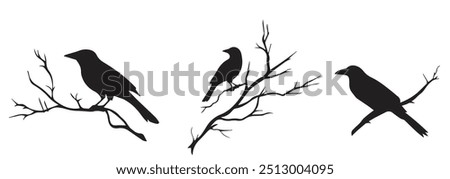 Silhouettes of three crows perched on bare branches in minimalist design against a white background