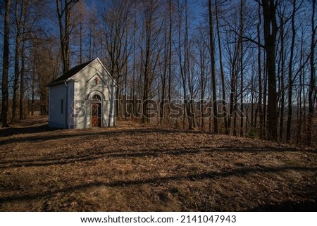 Similar – Image, Stock Photo sepulchers Nature Autumn