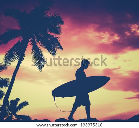 Retro Filtered Silhouette Of A Surfer Carrying His Surfboard WIth Palm Tree
