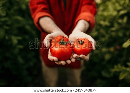 Similar – Image, Stock Photo A person holds home-picked strawberries in his hand in the strawberry field