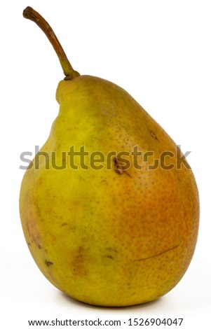 Shutterstock Puzzlepix