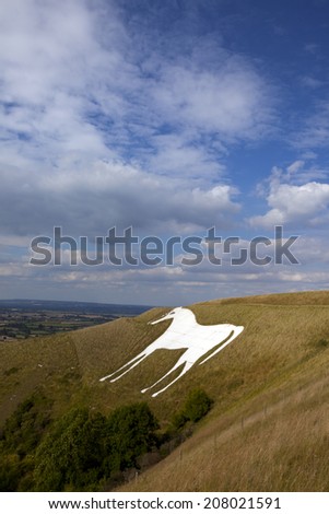 A portrait view of the Westbury White Horse on the edge of Bratton Downs, Wiltshire, England, with blue skies above