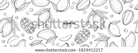 Vector frame with mango. Vector seamless pattern. Hand drawn illustrations.