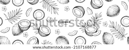 Vector frame with coconuts and tropical leaves. Vector seamless pattern. Hand drawn illustrations.