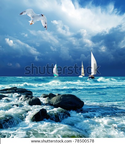 Similar – Image, Stock Photo Regatta at rest Sailboat