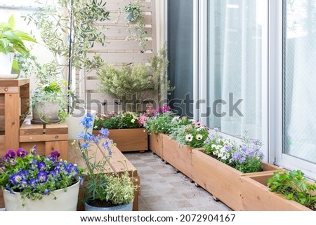 Gardening on the balcony of the apartment Сток-фото © 