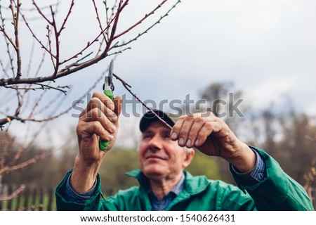 Similar – Image, Stock Photo Senior man pruning branches in back yard